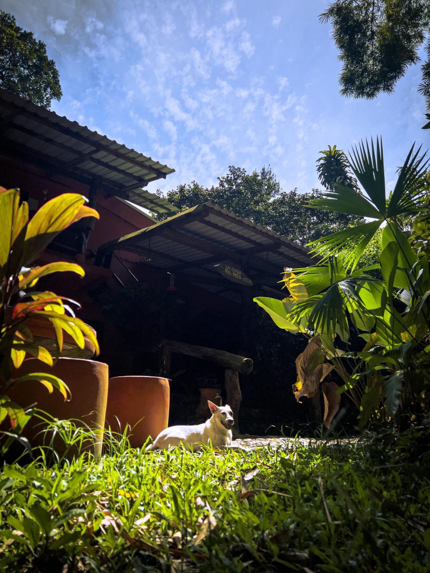 Casa Del Pozo Azul - Minca Hotel Buitenkant foto