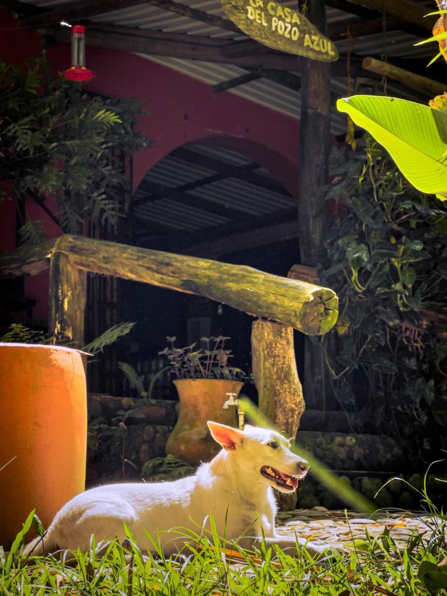 Casa Del Pozo Azul - Minca Hotel Buitenkant foto