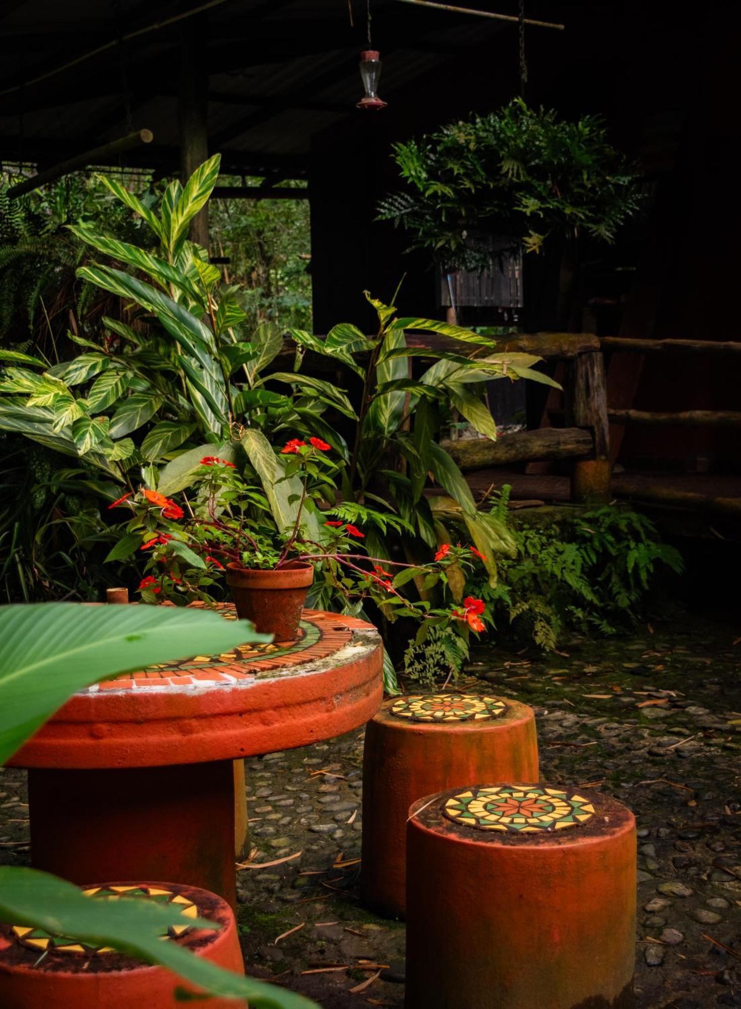 Casa Del Pozo Azul - Minca Hotel Buitenkant foto